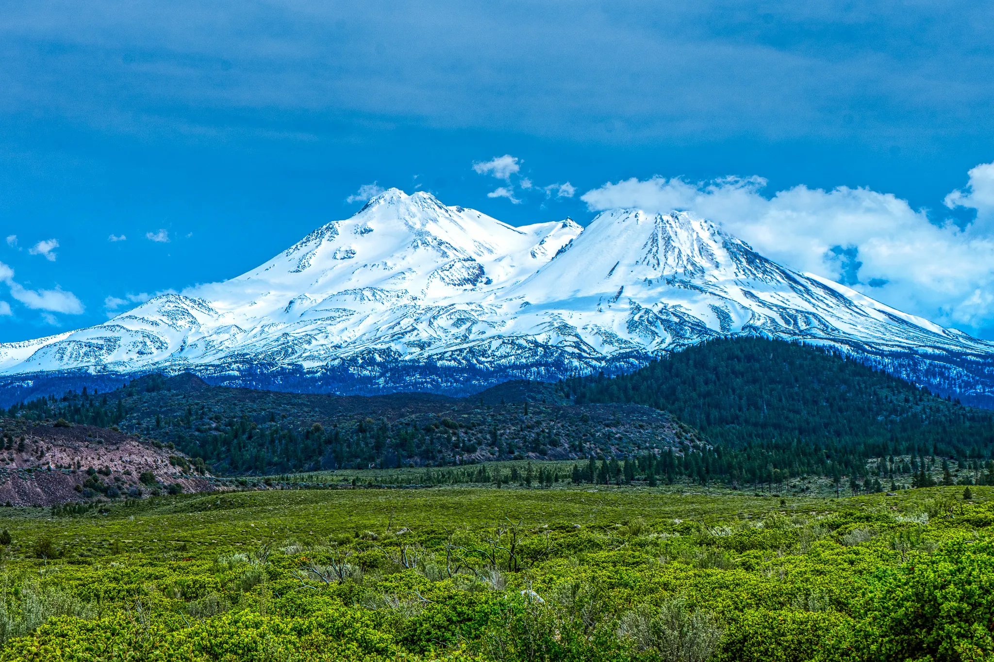 Mount Shasta